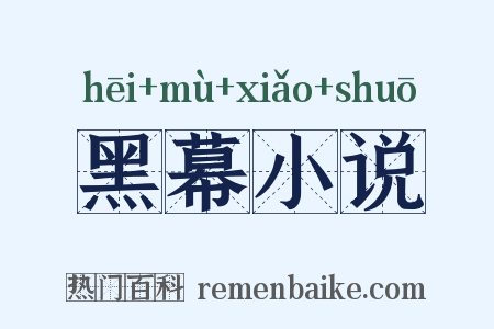 黑幕小说是什么意思的图片